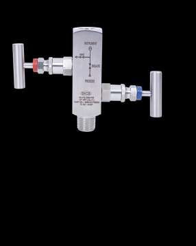2 way Manifold